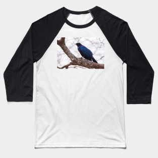 Ruppel's Long Tailed Starling Baseball T-Shirt